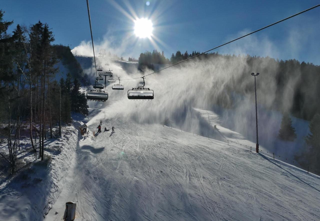 Quartier12 "Ski In & Bike Out" - Fewo Berg Willingen  Exterior photo