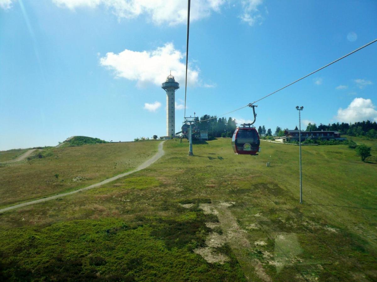 Quartier12 "Ski In & Bike Out" - Fewo Berg Willingen  Exterior photo
